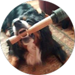 Profile photo of Estill Naderman