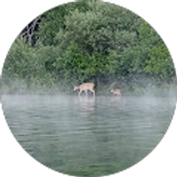 Profile photo of kris nelson