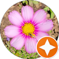 Profile photo of Miss Lisa