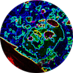 Profile photo of Andre