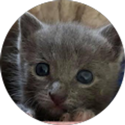 Profile photo of Alicia Marie