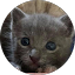 Profile photo of Alicia Marie