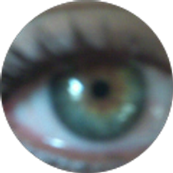 Profile photo of Helen Wakefield