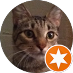 Profile photo of Janet McCammon