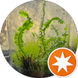 Profile photo of WeThoughtYouWasAToad