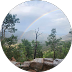 Profile photo of amy S