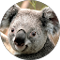 Profile photo of V Mele