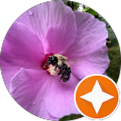 Profile photo of Alyssa M