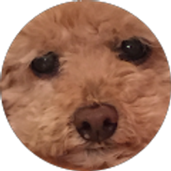 Profile photo of Ms Mia