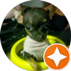 Profile photo of Esther Cruz