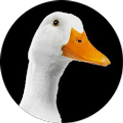 Profile photo of Ramiro Martinez