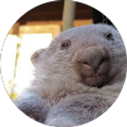 Profile photo of Maria Daleina Carmona