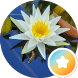 Profile photo of Danielle Brown