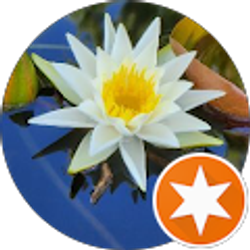 Profile photo of Danielle Brown-Marshall