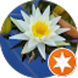 Profile photo of Danielle Brown-Marshall