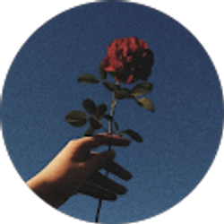 Profile photo of M. Alanis