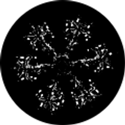 Profile photo of ShnowinOwen