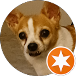 Profile photo of Cindy Dobbs