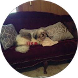 Profile photo of La Juan Gibson