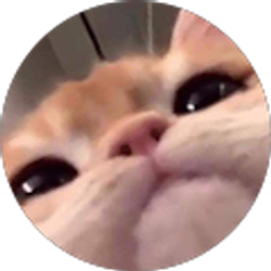 Profile photo of heidi morton