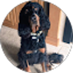 Profile photo of Mariah Szymanski