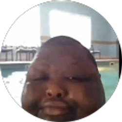 Profile photo of Juicy Shark