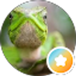 Profile photo of B Lustro