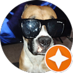 Profile photo of M M