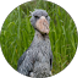 Profile photo of Issac McCauley