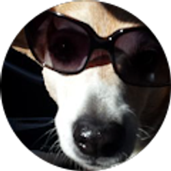 Profile photo of K. Moss