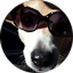 Profile photo of K. Moss