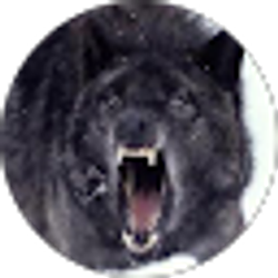 Profile photo of Brave Uchiha