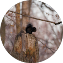 Profile photo of Chad Pittman