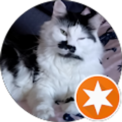 Profile photo of Margaret Neill