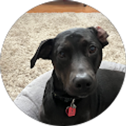 Profile photo of Jadyn G