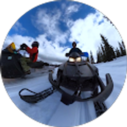 Profile photo of Niko Salinas