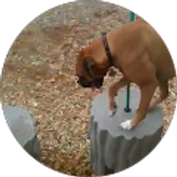 Profile photo of Matt Campbell