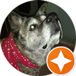 Profile photo of Judy