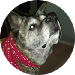 Profile photo of Judy