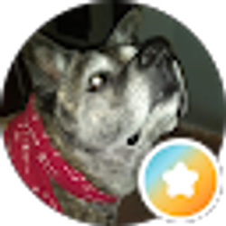 Profile photo of Judy