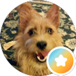 Profile photo of Kathy Herman
