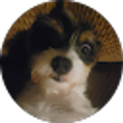 Profile photo of Diana Arnold
