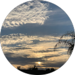 Profile photo of Allison Gomez