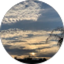 Profile photo of Allison Gomez