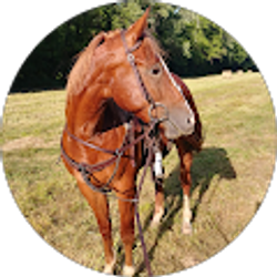 Profile photo of FaithAK 15