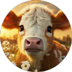 Profile photo of Lesly Lopez Martinez