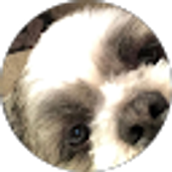Profile photo of Wendy Sanchez