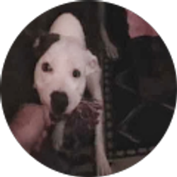 Profile photo of Robert Fillmore