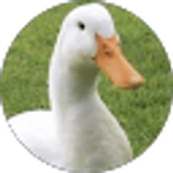 Profile photo of Cowabunga Indeed