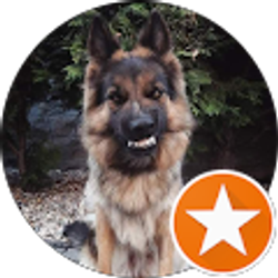 Profile photo of Gah-ishida